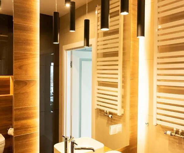 公寓 Capital Panorama 波兹南