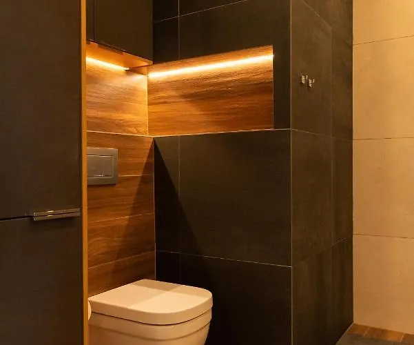 公寓 Capital Panorama 波兹南