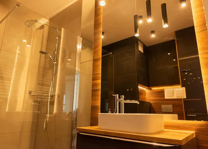 公寓 Capital Panorama 波兹南