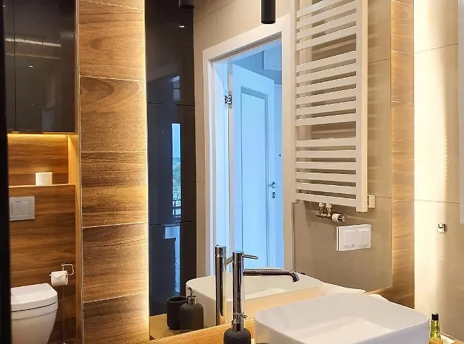 公寓 Capital Panorama 波兹南